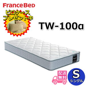 tXxbh }bgX TW-100JysP[Xv[gzVOTCYZT020 ZT030pfdQSn TW100 SS lC cCT|[g tXxbh }bg