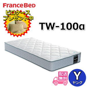 tXxbh }bgX TW-100JysP[Xv[gzOTCYZT020 ZT030pfdQSn TW100 SS lC cCT|[g tXxbh }bgX