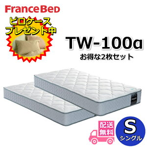 tXxbh }bgX TW-100ysP[Xv[gzVOTCY 2ZbgJ ZT020 ZT030pfdQSn TW100 SS lC cCT|[g tXxb