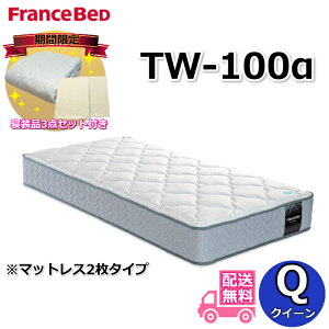 tXxbh TW-100ysP[Xv[gzNC[ }bgX2^Cv Qi3_ZbgtIJ cCT|[g xAXvOTW100 170Z` ZT020 ZT030