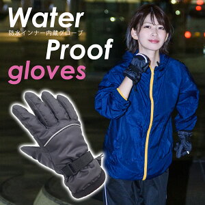 yBLACK FRIDAY N[|!z h   Y fB[X O[u h ʋ ʊw ] oCN JWA