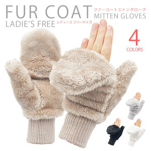 I[v~g wo W[ O[u EC^[O[u h  fB[X l t[TCY  q wl EC^[ X|[c AEghA O[u t[ ir