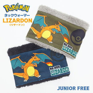 y |P z POKEMON U[h lbNEH[}[ Ci[{A vg LN^[ ӂӂ X|[c AEghA WjA t[TCY q jq q jp X|[c EH[L