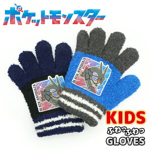 ポケットモンスター のびのび 手袋 グローブ トドラー 子供 幼児 男の子 ボーイズ 防寒 雪遊び 暖かい 伸縮性 伸びる キャラクター 保育園 幼稚園 通園 ポケモン 黒いレックウザ メール便
