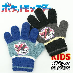 ポケットモンスター のびのび 手袋 グローブ キッズ 子供 幼児 男の子 ボーイズ 防寒 雪遊び 暖かい 伸縮性 伸びる キャラクター 保育園 幼稚園 通園 ポケモン リザードン メール便