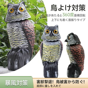 悯ObY Ƃ悯 ΍  x_ u 悯  JX悯 JX  UtNE ng ͂ XY  h