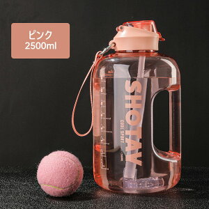  X|[c{g  e 2.5L W ^ K  O g[jO X[W[ VFCJ[ ̓