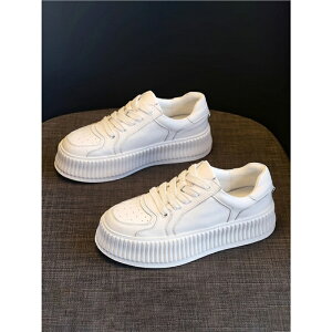 Xj[J[ HV fB[X V[Y tH {v  Xj[J[ jOV[Y EH[LOV[Y ₷ Ȃ RtH[g r