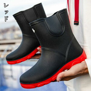 Cu[c CV[Y C fB[X Y  y ~h ₷ hJC EhgD V[g ~J h ނ _ ʋ ʊw