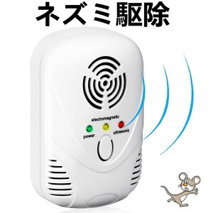 ˂݋쏜 g   lY~ފ Q쏜 y2023ŐVŁz 135L͈ dg+5ޒg+͔g É qybgɈS ˂/SLu//m~/nG/_j/VA/n