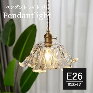 ペンダントライト レトロモダン 照明器具 真鍮 LED対応 1灯 コード調整可 カフェ風ライト インテリア照明 キッチン・玄関・トイレに シンプル デザイン 料理屋 書斎 和室 電気 和室照明 アン