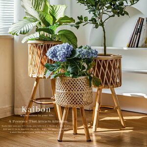 ޒA₳ɂ悮΁B t[X^h ԑ  킢 A u ϗtA A   K[fjObN