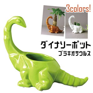 @Aؔ  v^[ uLITEX _Ci\[|bg O[ uE zCg XpCX FCGK1010