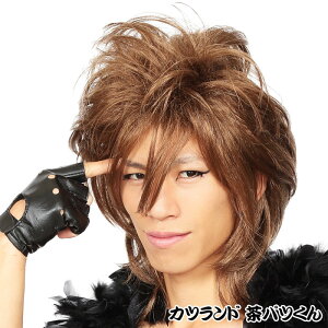 Jch pc  zXg CP rWAn Ԃ p[eB ϑ   RXv  NAXg[ 4560320863519