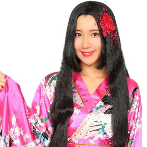 Jch Pl  P ޏ ㌀ Ԃ p[eB ϑ   RXv  NAXg[ 4560320863618