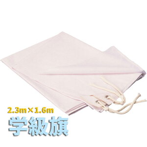 w() 2.3×1.6m 傫 tbO ^ ̈ X|[c NX `[  ϐ  n A[ebN 1216