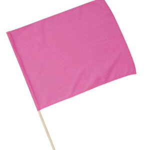 �����i���j�t���b�O �� �^���� �̈�� �w���� �Q�[�� �C�x���g ���� ���U�� �A�[�e�b�N 1278