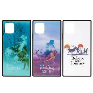 iPhone 11 6.1C` iPhone11 Ή P[X Jo[ AiƐ̏2 KXnCubhP[X nCubh Ai2 Ai GT fBYj[ f LN^[ PGA PG-DGT19B