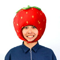 楽天市場】いちご イチゴ（コスプレ・変装・仮装｜ホビー）の通販