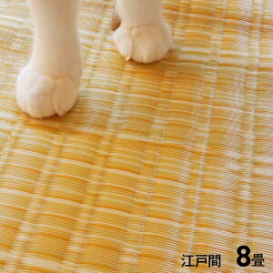 �y����E�����z���s�z�y����s�z�􂦂� PP�J�[�y�b�g �]�ˊ�8�� ��348×352cm �A�E�g�h�A �y�b�g ���_�� �C���e���A �t���A �J�[�y�b�g IKEHIKO BRC348352