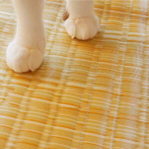 �y����E�����z���s�z�y����s�z�􂦂� PP�J�[�y�b�g �{��8�� ��382×382cm �A�E�g�h�A �y�b�g �C���e���A �t���A �J�[�y�b�g IKEHIKO BRC382382