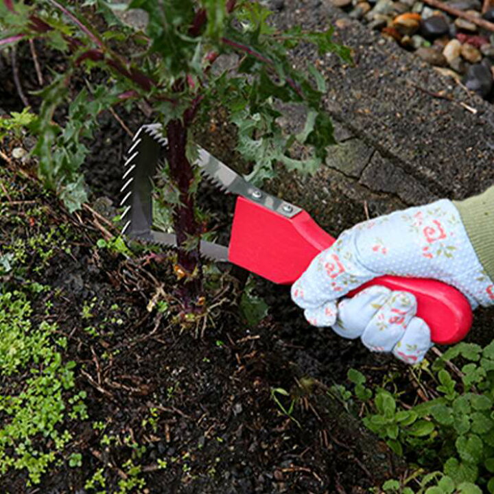 楽天市場】ラク〜に草取り 万能草刈り鎌 刈る 掘る 整える 鎌 雑草 ガーデニング 園芸 庭 土いじり 作業 家庭菜園 草むしり 富士パックス h1029 : 補聴器専門店 快聴生活 楽天市場】ラク〜に草取り 万能草刈り鎌 刈る 掘る 整える 鎌 雑草 ガーデニング 園芸 庭 土いじり 作業 家庭菜園 草むしり 富士パックス h1029 : 補聴器専門店 快聴生活