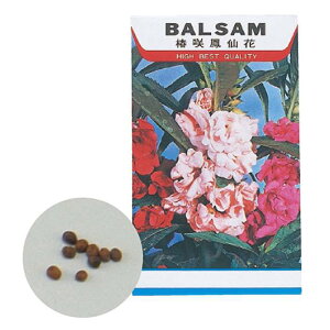 Ԃ̎ zEZJ ͂Ȃ̂    wZ ͔| K[fjO A[ebN 2743