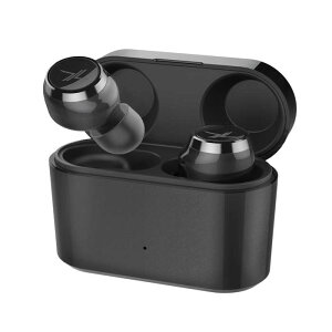 Bluetooth 5.0 完全ワイヤレスイヤホン 自動ON/OFF機能 専用ケース付属 防水 高級感 LIVIL audio LIV110-BK