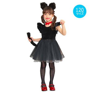 yoׁzHW veBVm[ LbY 120TCY RX`[ LbYTCY ǂTCY nEB RXv ߑ  ϑ L ubNLbg s[X LJ`[Vt