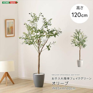 フェイクグリーン オリーブの人気商品・通販・価格比較 - 価格.com