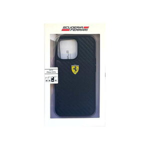 �t�F���[�� iPhone13 Pro�p ���A���J�[�{�� �w�ʃP�[�X �G�A�[�W�F�C FEHCP13LFCA BK