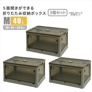 ykCEEzszysz5ʊJłI܂肽ݎ[{bNX MTCY i40Lj 3Zbg _[NO[ oł Rei{bNX [ ֗ z