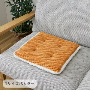 �y����s�z�N�b�V�����@���O�@�J�[�y�b�g �w�������[�x �O���[ 55×35cm IKEHIKO 1224760131091