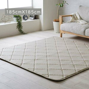 yszO ɂ h {[  􂦂  ₷  n O[ 185×185cm 2 g[ zbgJ[ybgΉ ~zc IKEHIKO 1294860135501