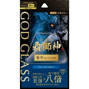 iPhone 17/iPhone 16 Pro KXtB uGOD GLASS e_v u[CgJbg GOD GLASS GG-IM25GLFB