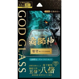 iPhone 17/iPhone 16 Pro �K���X�t�B���� �uGOD GLASS �e���_�v���� ���˖h�~�E�u���[���C�g�J�b�g GOD GLASS GG-IM25GLFMB