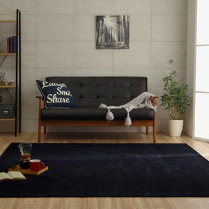 �y����E�����z���s�z�y����s�z���O �J�[�y�b�g ��200×250cm �V�F�j�[���D ���� ���n �V���v�� ����ɂ��� ���� �z�b�g�J�[�y�b�g�E���g�[�Ή� ����@�Ŋې�OK ���f���m IKEHIKO 4599139