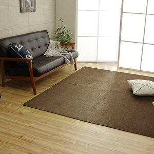 �y����E�����z���s�z�y����s�z���O �J�[�y�b�g ��200×250cm �V�F�j�[���D ���� ���n �V���v�� ����ɂ��� ���� �z�b�g�J�[�y�b�g�E���g�[�Ή� ����@�Ŋې�OK ���f���m IKEHIKO 4599239