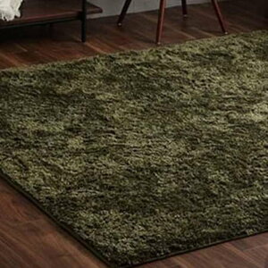 �y����s�z���O �����` �V���M�[ ���� ��3�� ��200×250cm ���ۉ��H �􂦂� �I�[���V�[�Y�� ����ɂ������H �z�b�g�J�[�y�b�g�Ή��y�O���[���z IKEHIKO 3985179