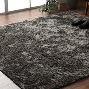 �y����s�z���O �����` �V���M�[ ���� ��3�� ��200×250cm ���ۉ��H �􂦂� �I�[���V�[�Y�� ����ɂ������H �z�b�g�J�[�y�b�g�Ή��y�O���[�z IKEHIKO 3985199