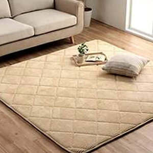 yEzszyszO ɌLgO R[fC 185×240cm 3 ɂ {[  ւɂ n g[ zbgJ[ybgΉ ~zcyAC