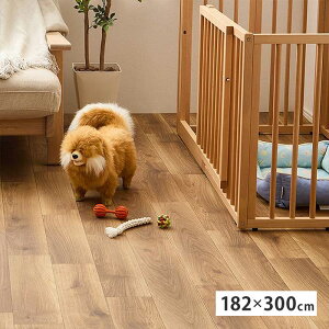 �y�k�C���E����E�����z���s�z�y����s�z�y�b�g�Ή� �N�b�V�����t���A ���O ��182×300cm �I�[�N HAGIHARA 700040495