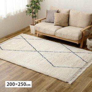 �y�k�C���E����E�����z���s�z�y����s�z�E�B���g�����O BEDOUIN ���V���h ��200×250cm �A�C�{���[ ���O �J�[�y�b�g �C���e���A �V���� HAGIHARA 270621312
