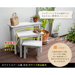 ykCEEzszyszzCgXc[ԑ  Xc[ t[bN ԑ TChe[u  K[fjO CeA Vv  zCg Z܂