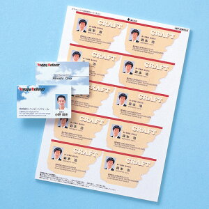 【代引不可】つやなしマットタイプのカラーレーザー専用名刺カード サンワサプライ LBP-MMC10N
