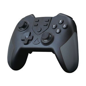 SwitchpCXRg[[ }N2022 XCb`p USB-Type-C  ubN A[ ALG-NSWC22