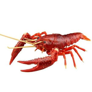 R24 ̕ AJUKj(bh) mߋ vf ͌^ hsv ȒPg tW~͌^ 4968728171401