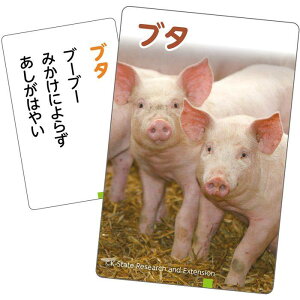 ͂Ȃ̉H 邽 `́` mߋ   J[hQ[ A[ebN 21167