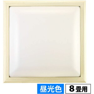 �a��LED�V�[�����O���C�g�y�l�p�Z�[�h�z(8���p 3800 lm �����F 45W) OHM LE-W45D8G-W