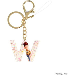 �A���t�@�x�b�g �`���[�� Disney �f�B�Y�j�[ �L�����N�^�[ �E�b�f�B �X�}�z �A�N�Z�T���[ �L�[�����O �X�g���b�v PGA PG-DCM18WDY